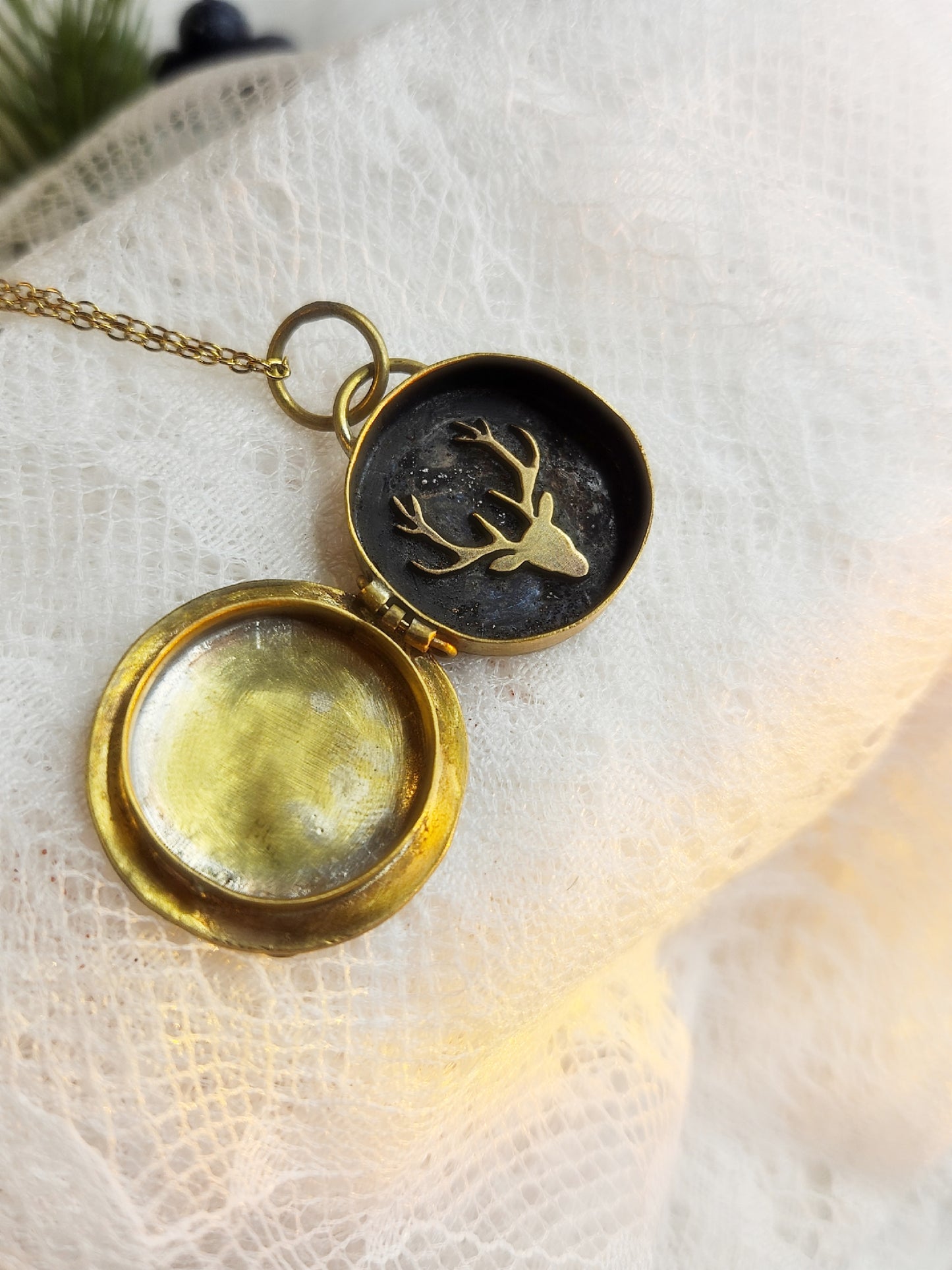 Pendentif locket “Sanctuaire de Valdyr”